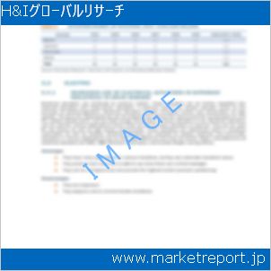市場と産業調査レポートのイメージ